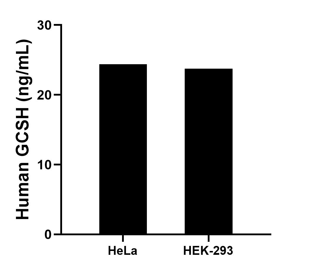 Sample test of MP00021-3